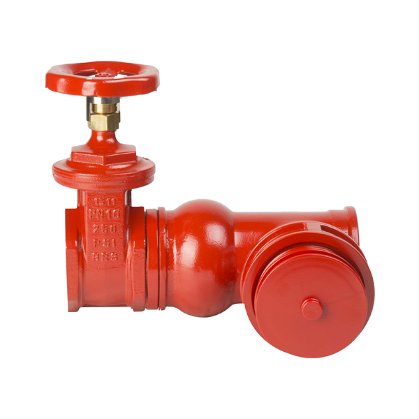 Gruppo Attacco Motopompa Filettato UNI 70 2" 1/2